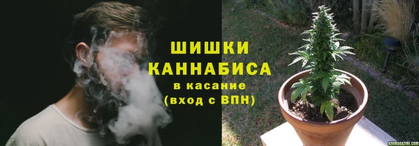 сатива Верея