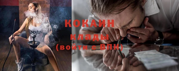 сатива Верея