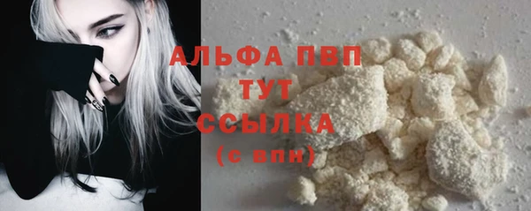 сатива Верея