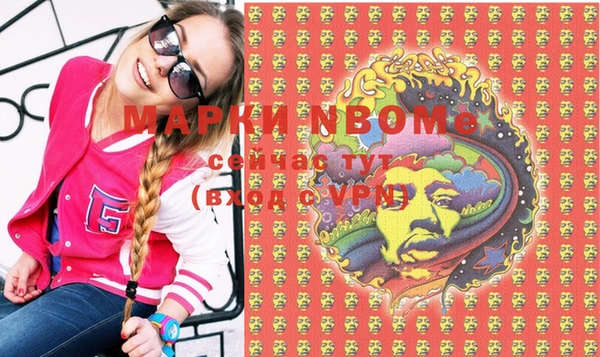 сатива Верея