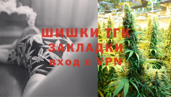 сатива Верея