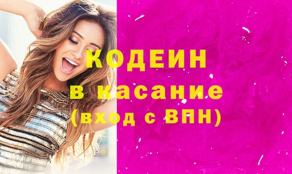сатива Верея