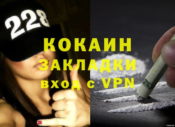 сатива Верея