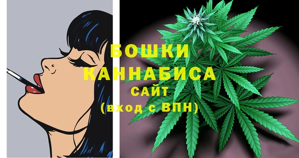 сатива Верея