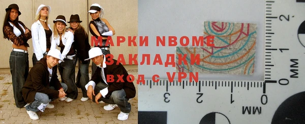 сатива Верея