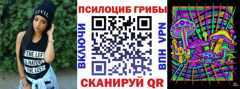 закладки  Володарск  Галлюциногенные грибы MAGIC MUSHROOMS 